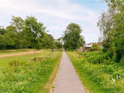 Picture 21